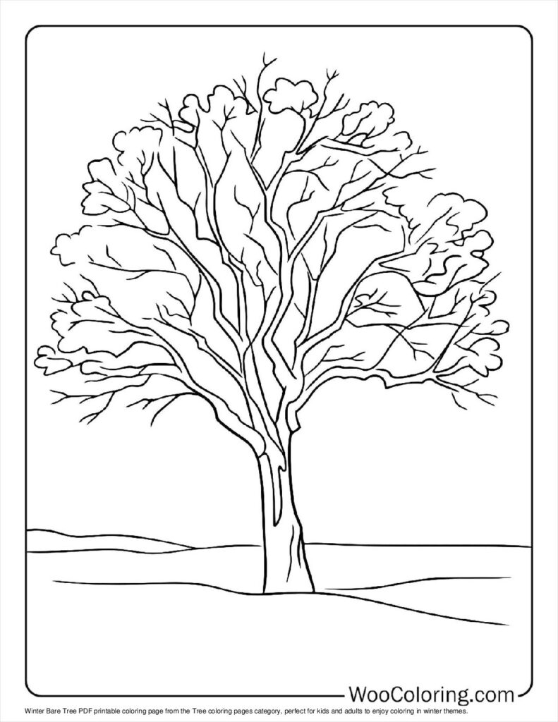 coloring sheet of a tree coloring sheet of a tree