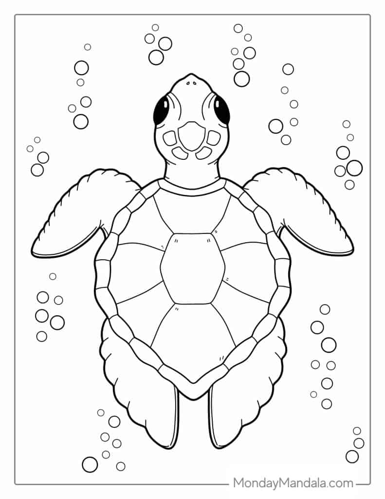 turtle pictures to color turtle pictures to color