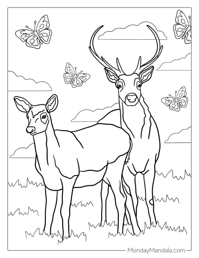 deer coloring book pages