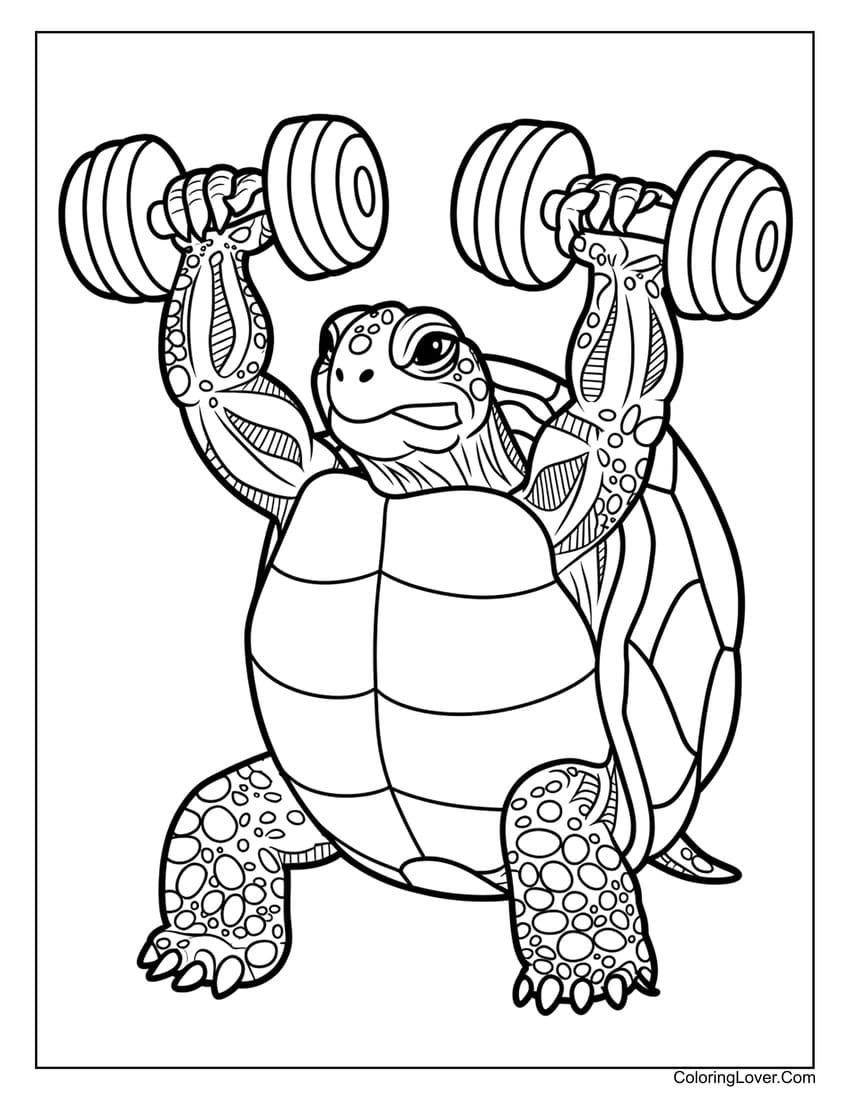 42 Turtle Coloring Pages Free Printables For All Ages 42 Turtle Coloring Pages Free Printables For All Ages