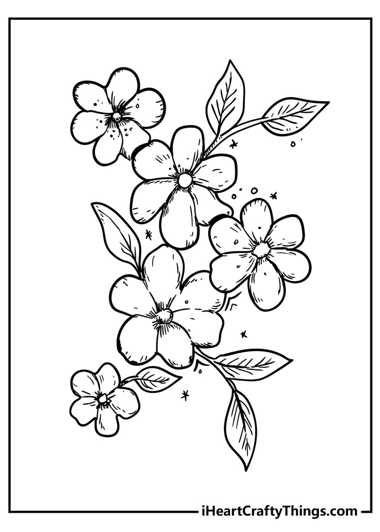 52 Flower Coloring Pages Easy Free Printable PDFs For Kids 52 Flower Coloring Pages Easy Free Printable PDFs For Kids