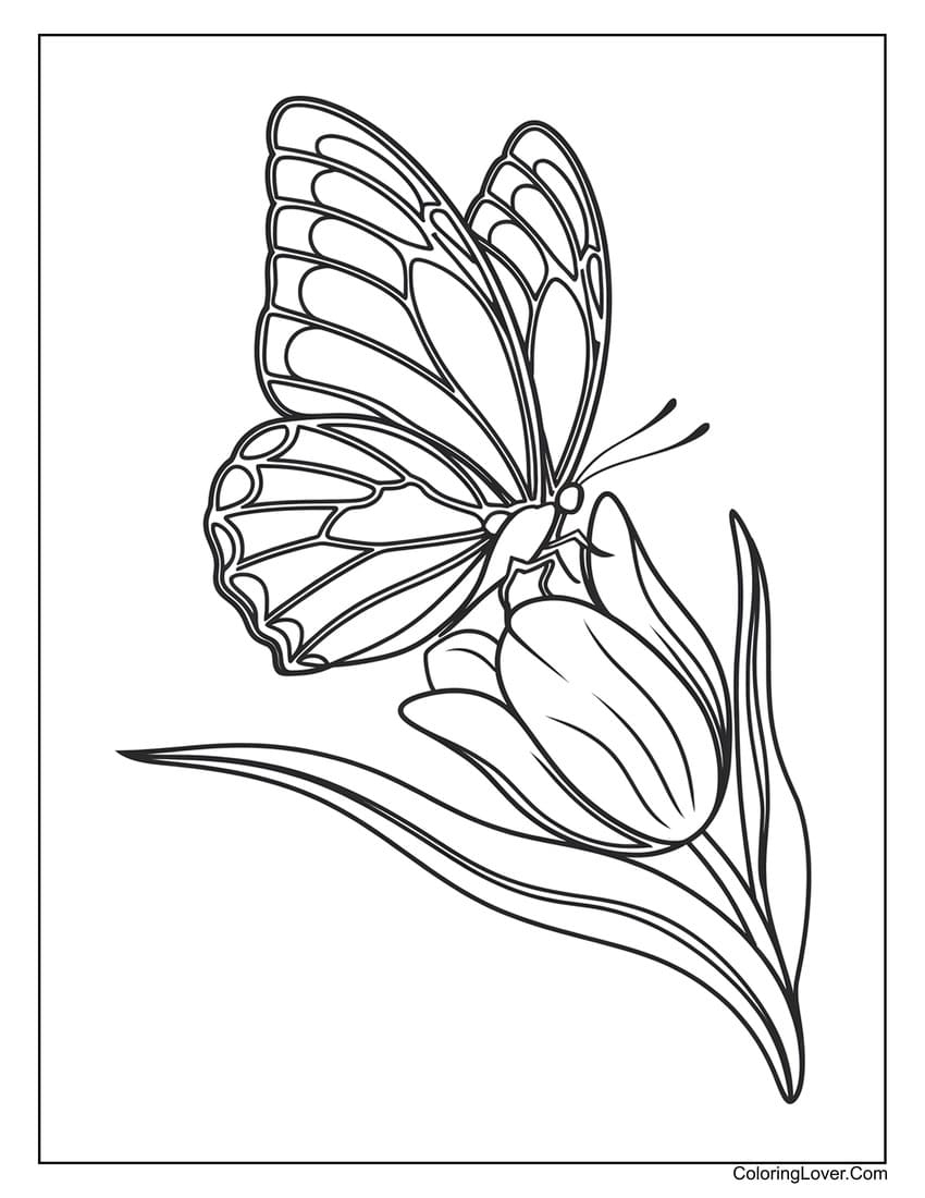 54 Butterfly Coloring Pages Free Printables For All Ages 54 Butterfly Coloring Pages Free Printables For All Ages
