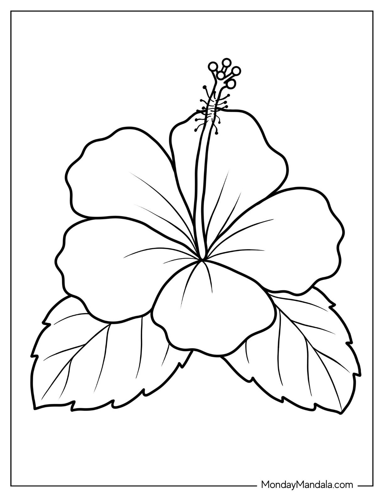 68 Flower Coloring Pages Free PDF Printables 