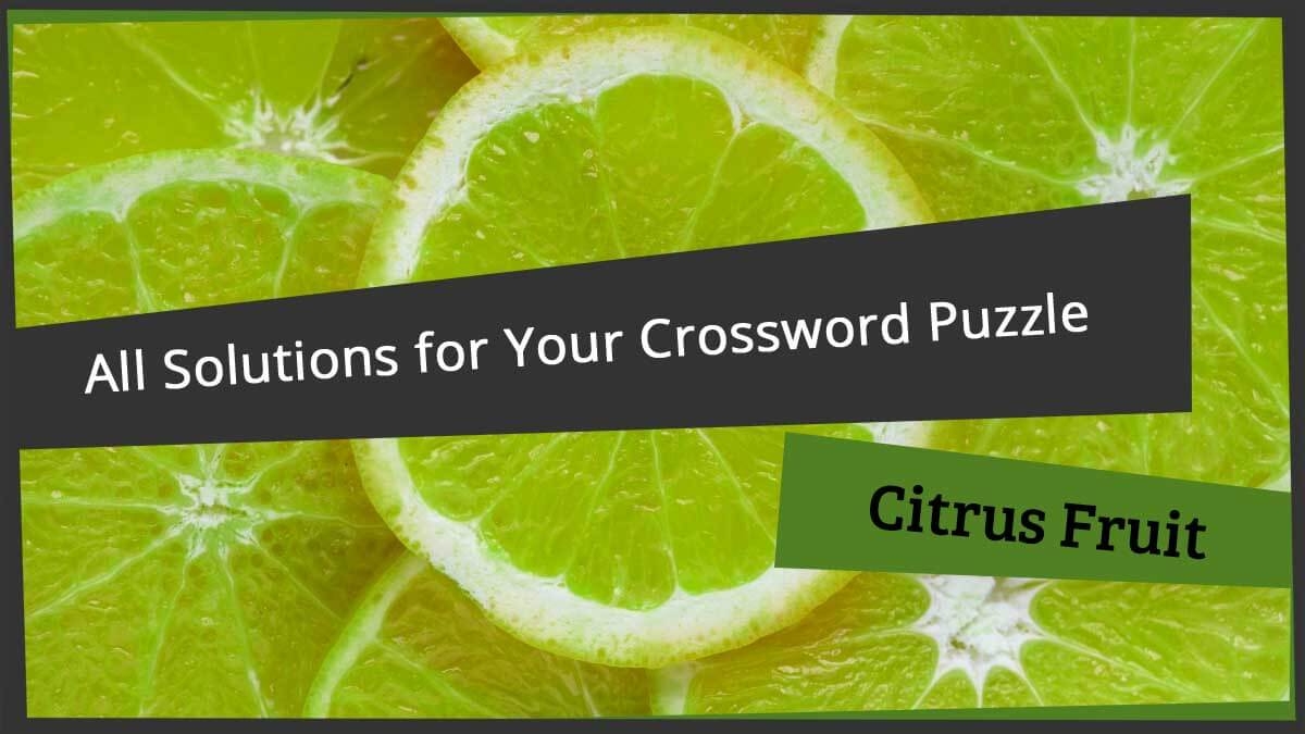 All Citrus Fruit Solutions For Your Crossword Puzzle Word grabber All Citrus Fruit Solutions For Your Crossword Puzzle Word grabber