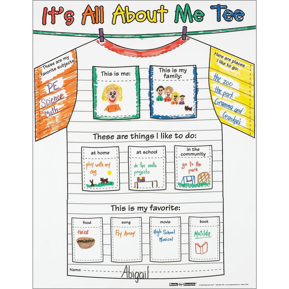 Amazon Really Good Stuff Ready To Decorate All About Me Tee Posters 24 Posters Office Products