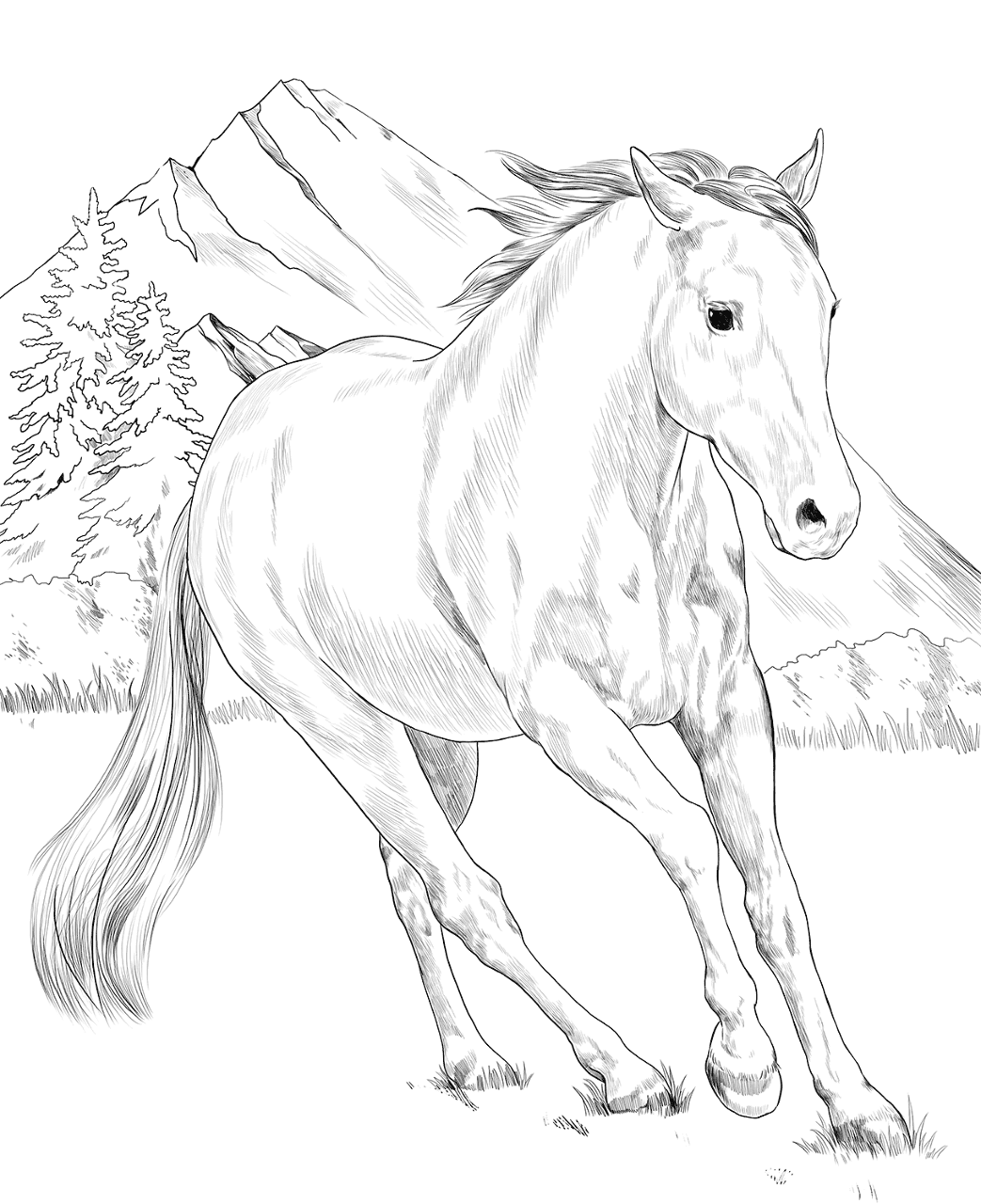 American Paint Horse Coloring Page Free Printable