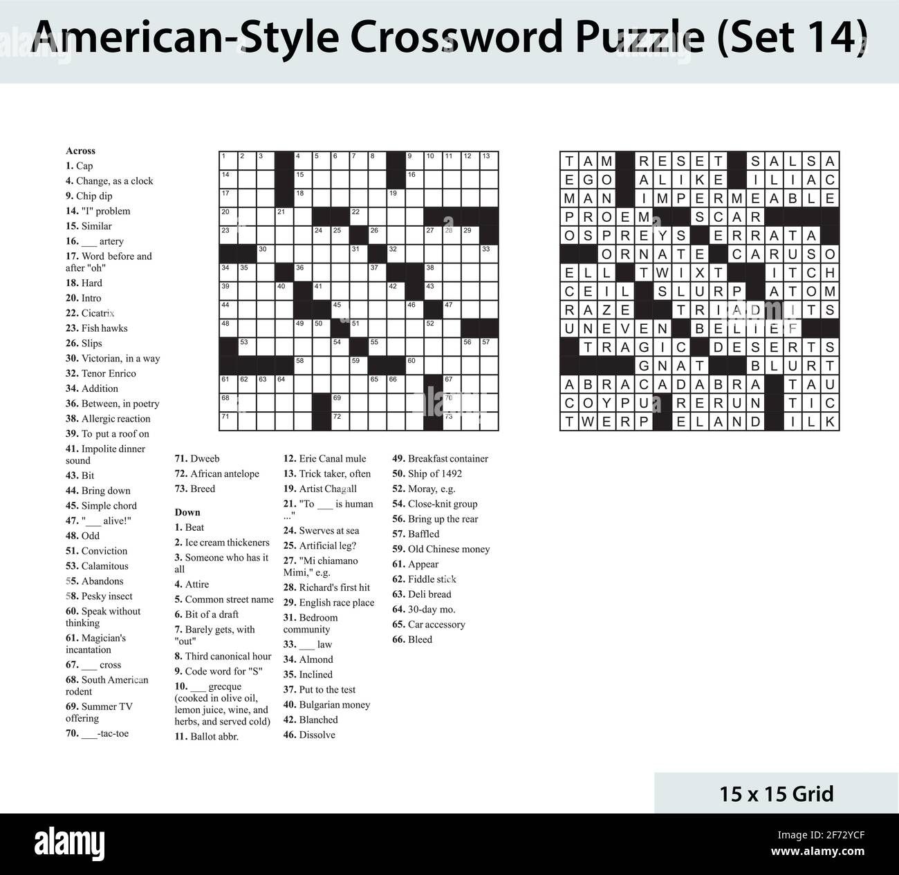 common crossword puzzle clues