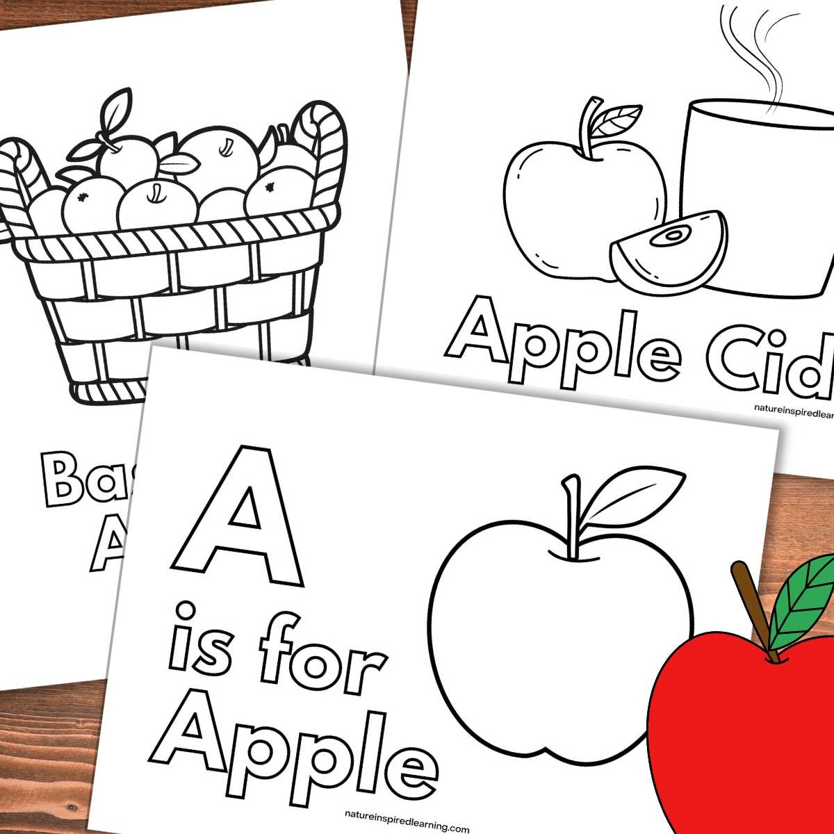 Apple Coloring Pages Nature Inspired Learning Apple Coloring Pages Nature Inspired Learning