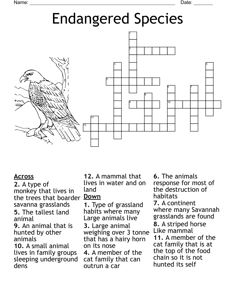 Australian Animals Crossword WordMint