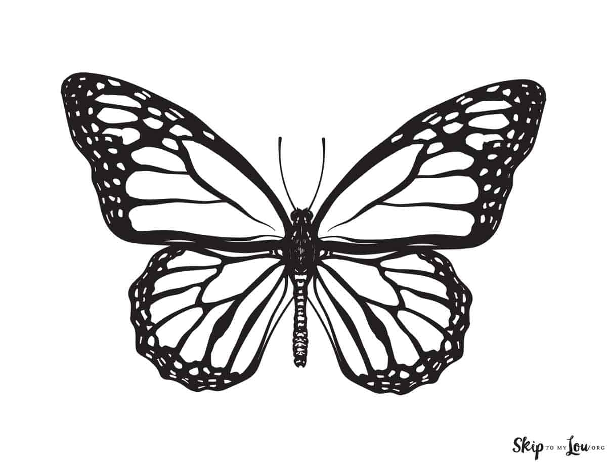 butterfly printable coloring page butterfly printable coloring page