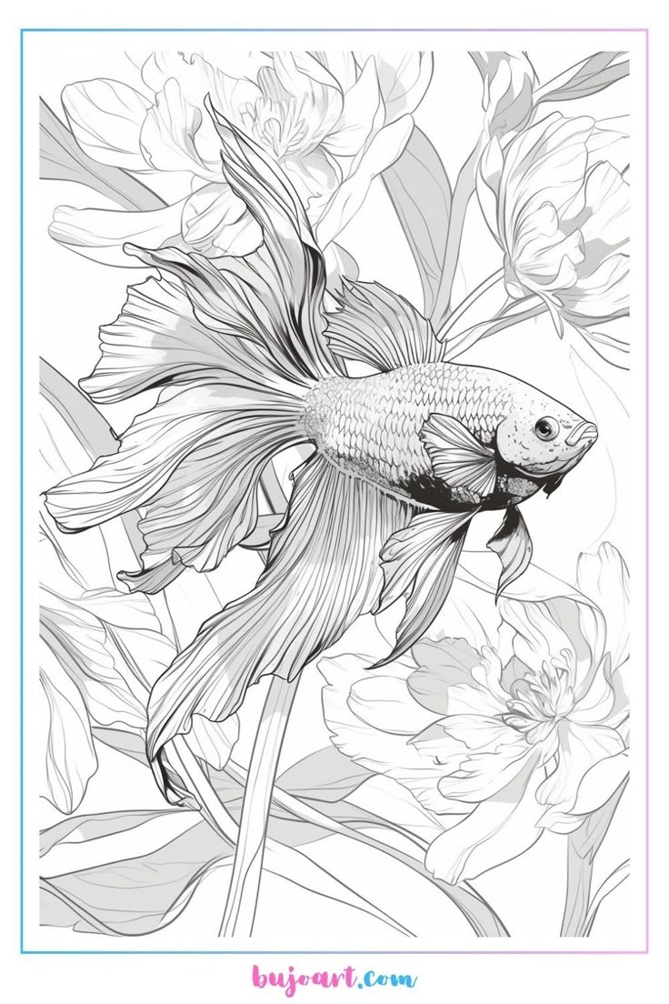 Betta Fish Coloring Pages Fish Coloring Page Fish Sketch Fish Art
