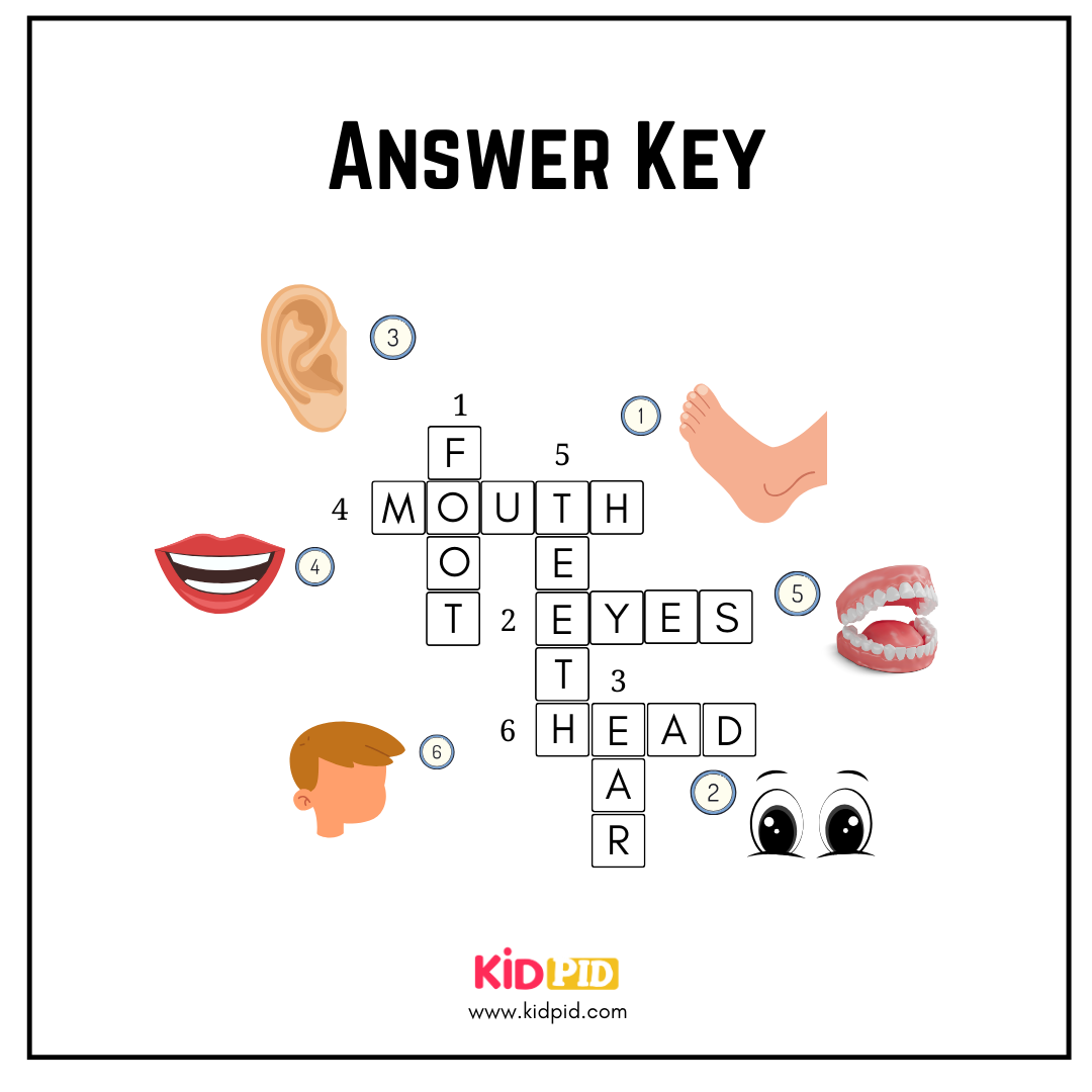 Body Parts Crosswords Worksheet For Grade 1 Kidpid Body Parts Crosswords Worksheet For Grade 1 Kidpid