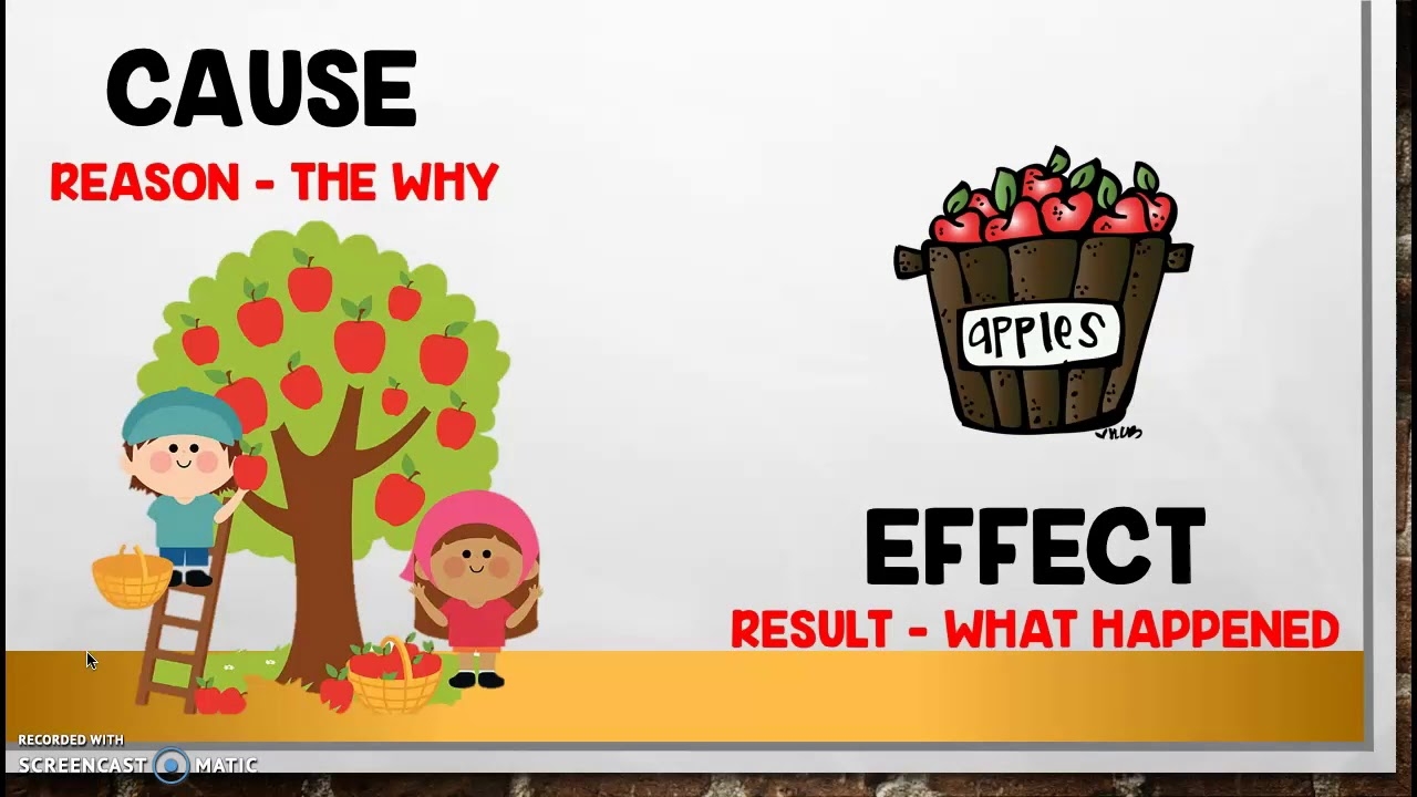 Cause And Effect Connections YouTube