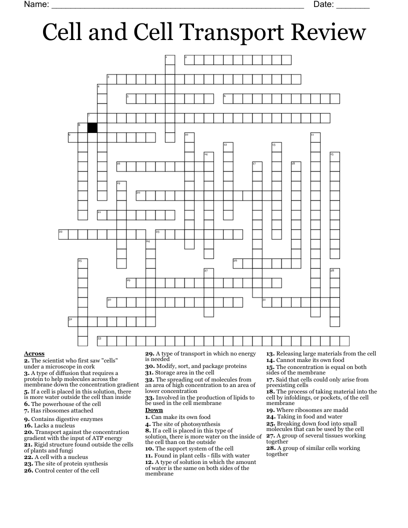 Cell And Cell Transport Review Crossword WordMint Cell And Cell Transport Review Crossword WordMint