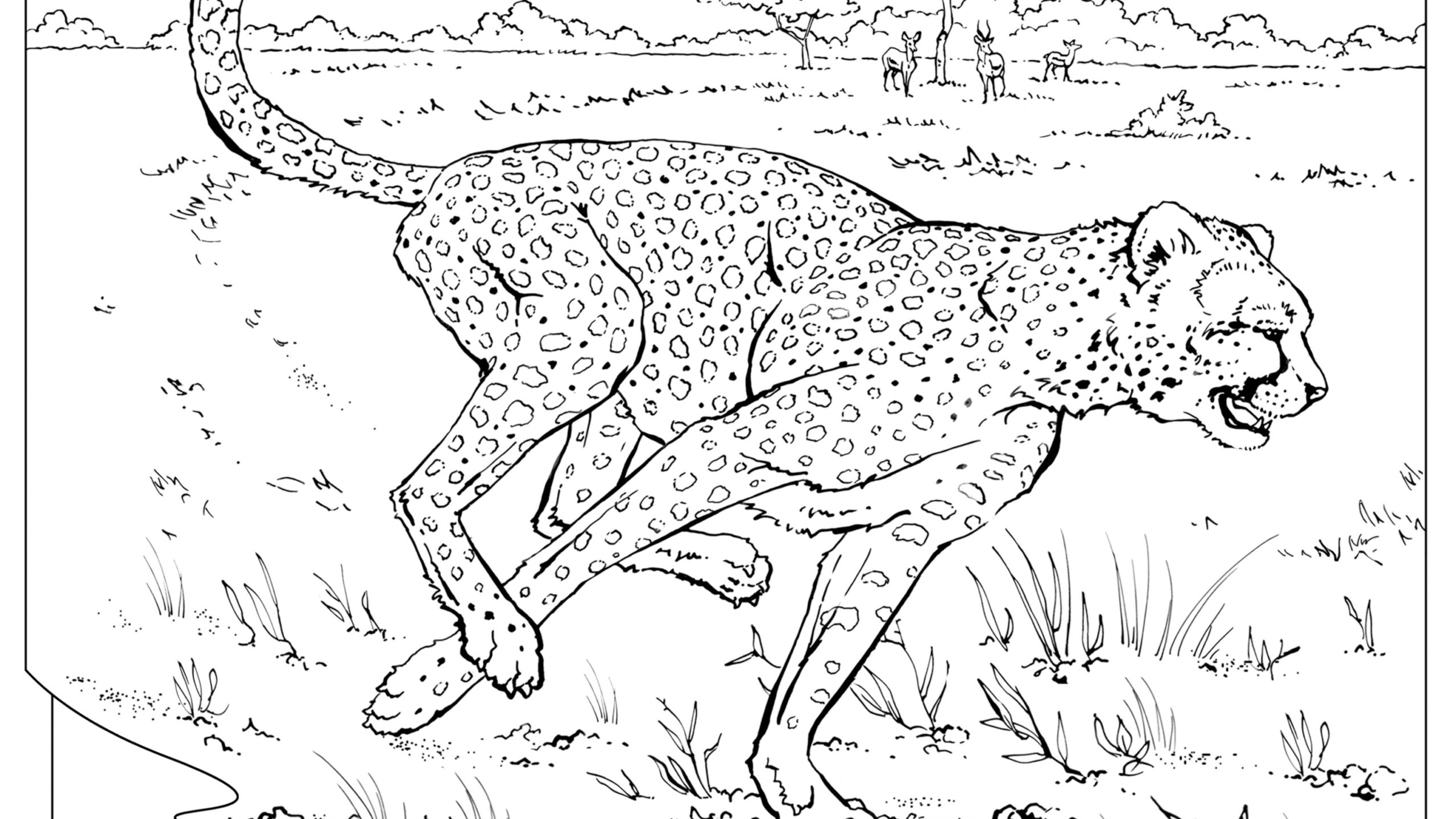 Coloring Book Animals A To I National Geographic Kids Coloring Book Animals A To I National Geographic Kids