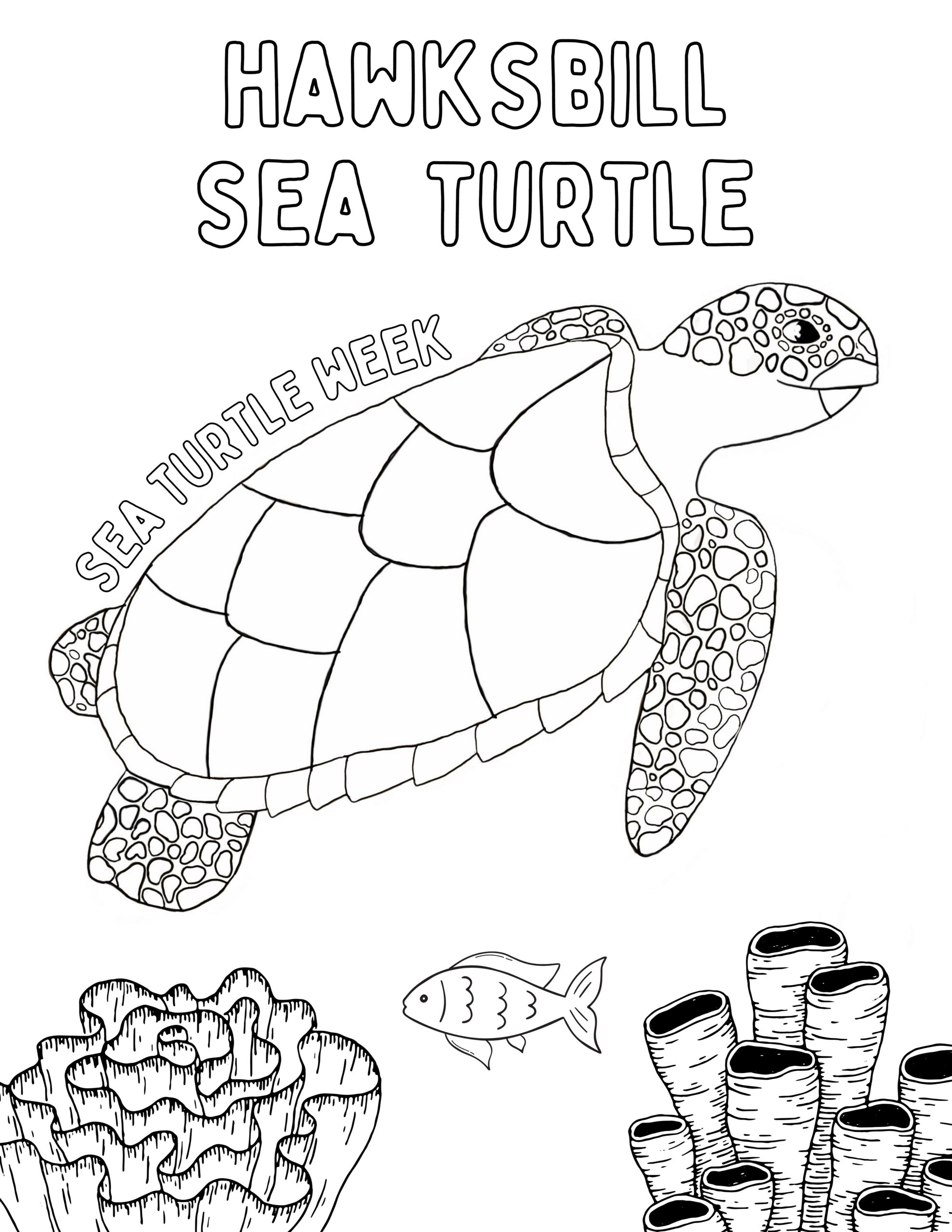 Coloring Sheets SeaTurtleWeek Coloring Sheets SeaTurtleWeek