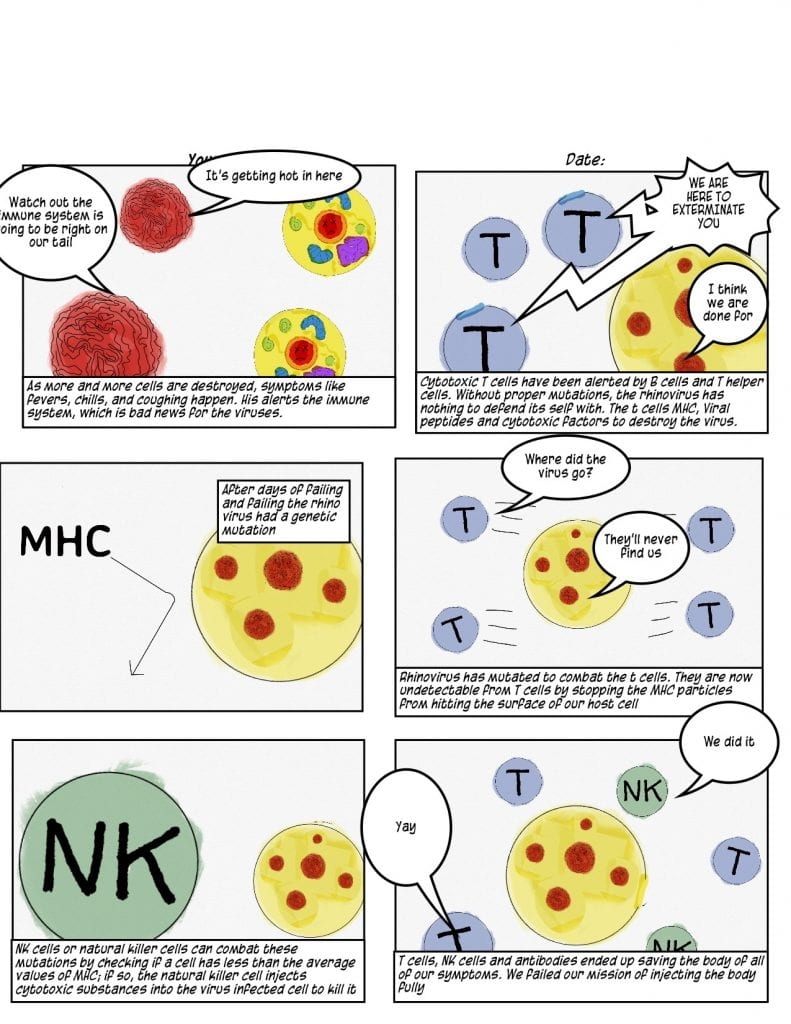 Comic Cells Erik s Blog Comic Cells Erik s Blog