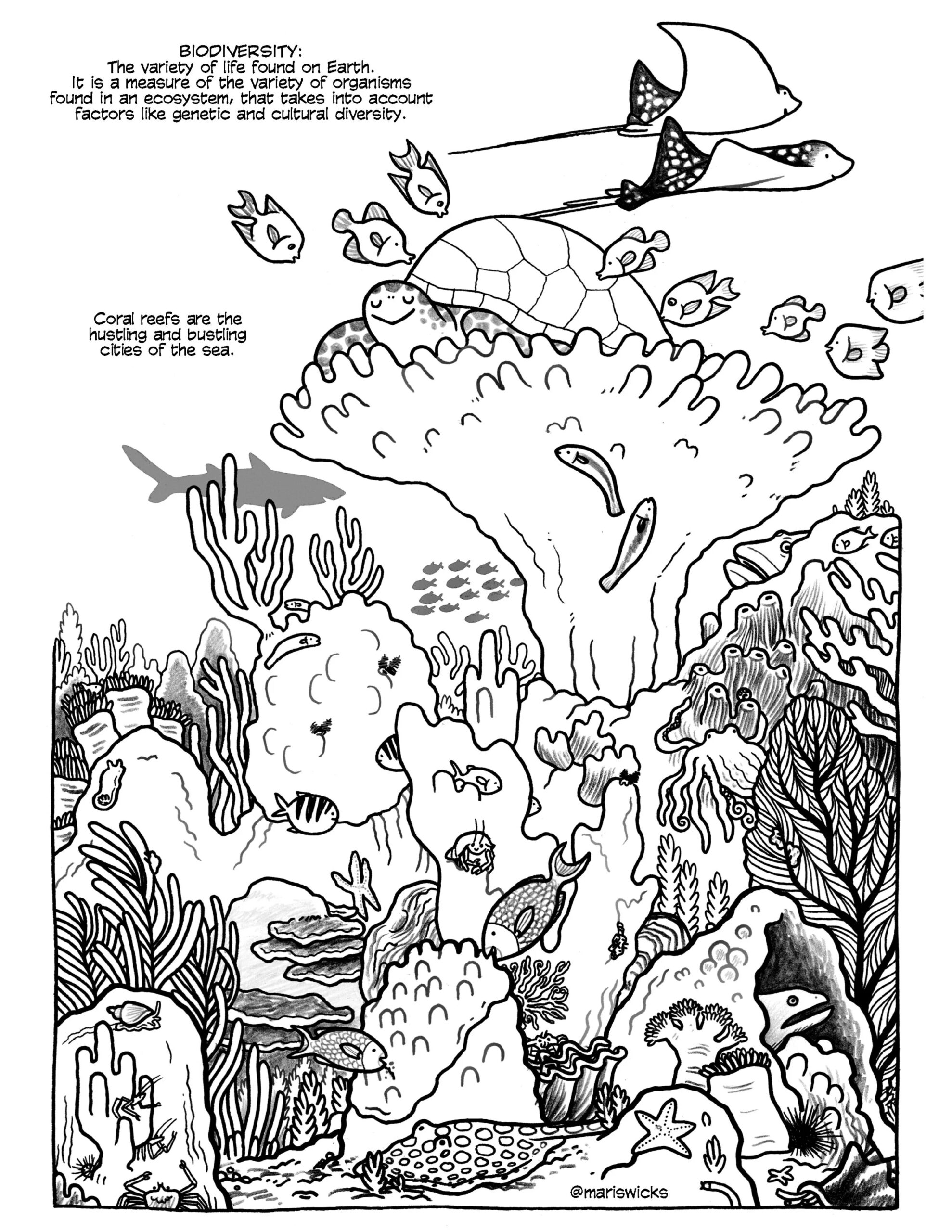 Corals Coloring Pages Maris Wicks Corals Coloring Pages Maris Wicks