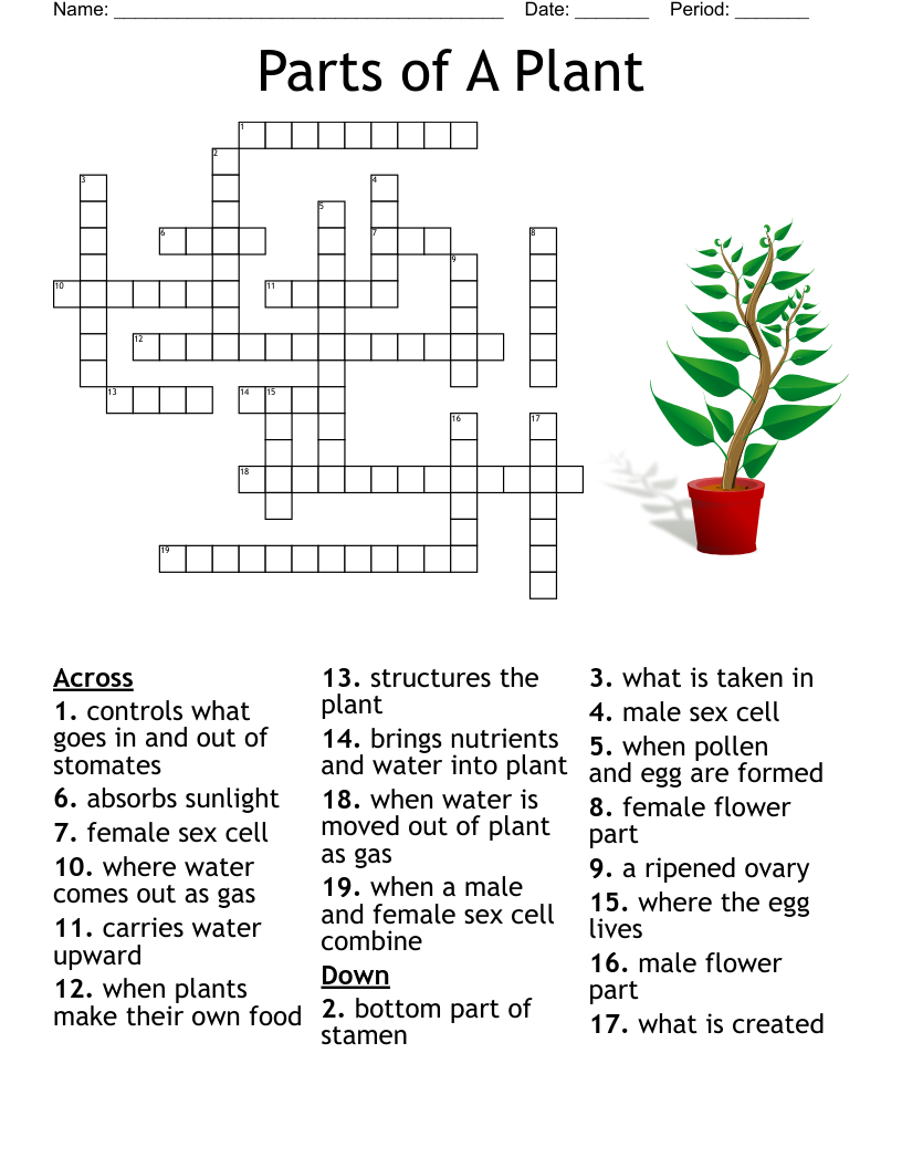 Desert Biome Crossword WordMint Desert Biome Crossword WordMint