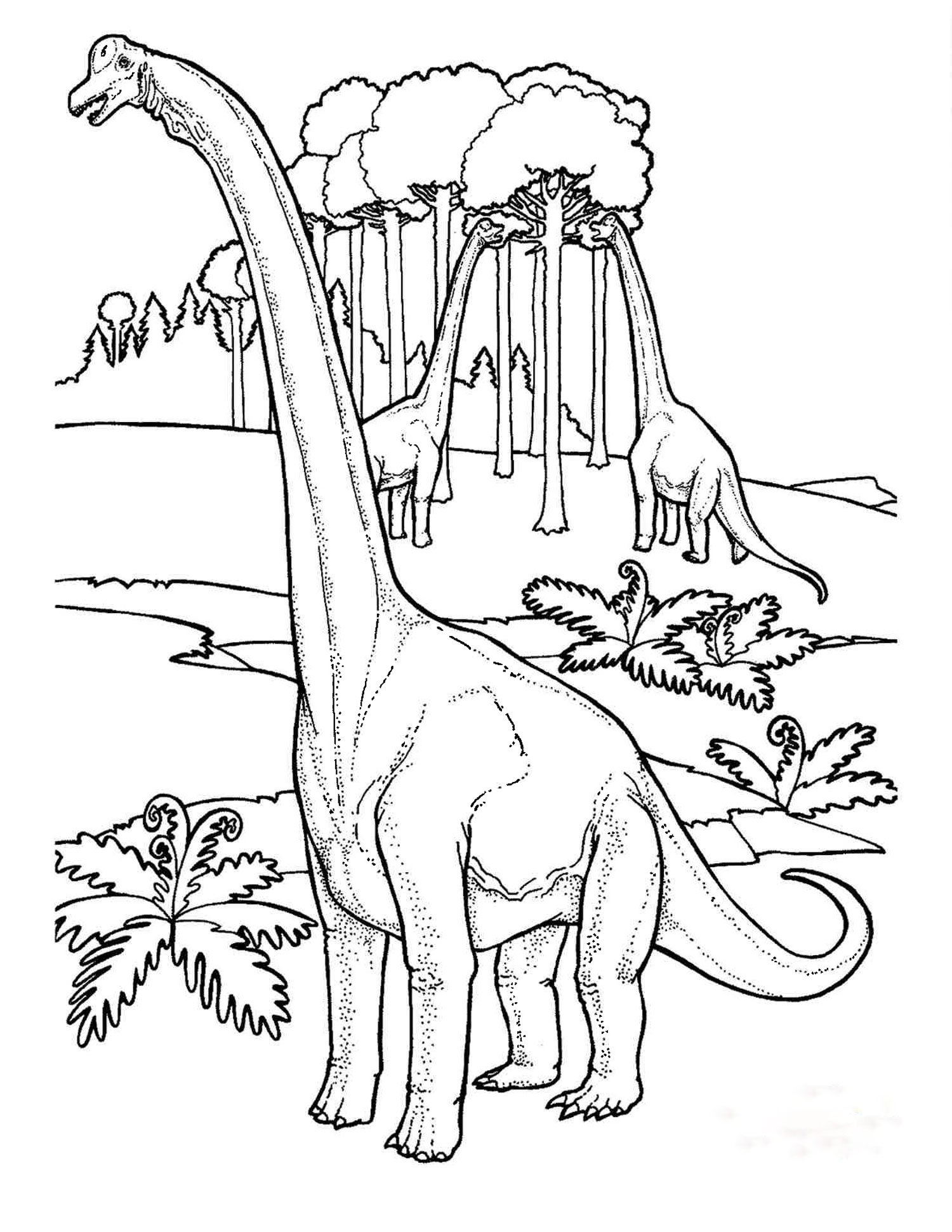 Dinosaur Coloring Sheets Seattle s Favorite Garden Store Since 1924 Swansons Nursery