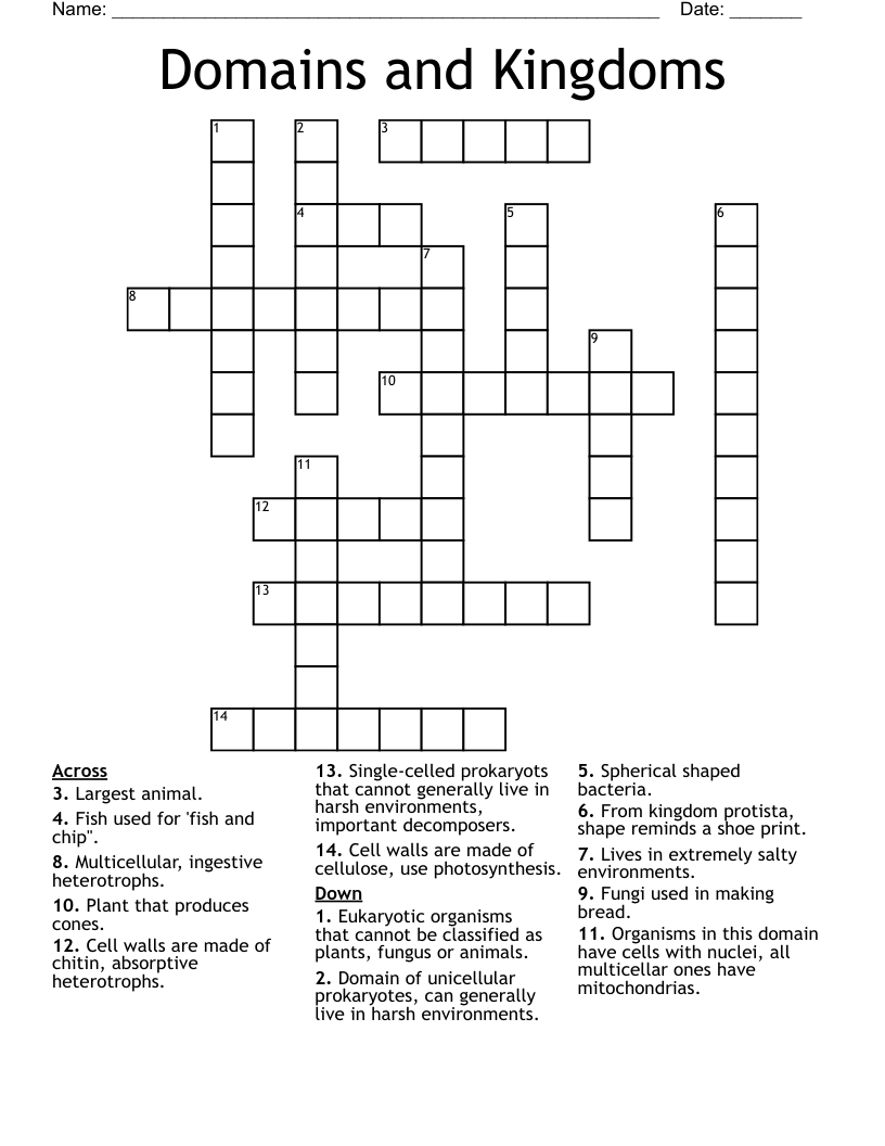 Domains And Kingdoms Crossword WordMint