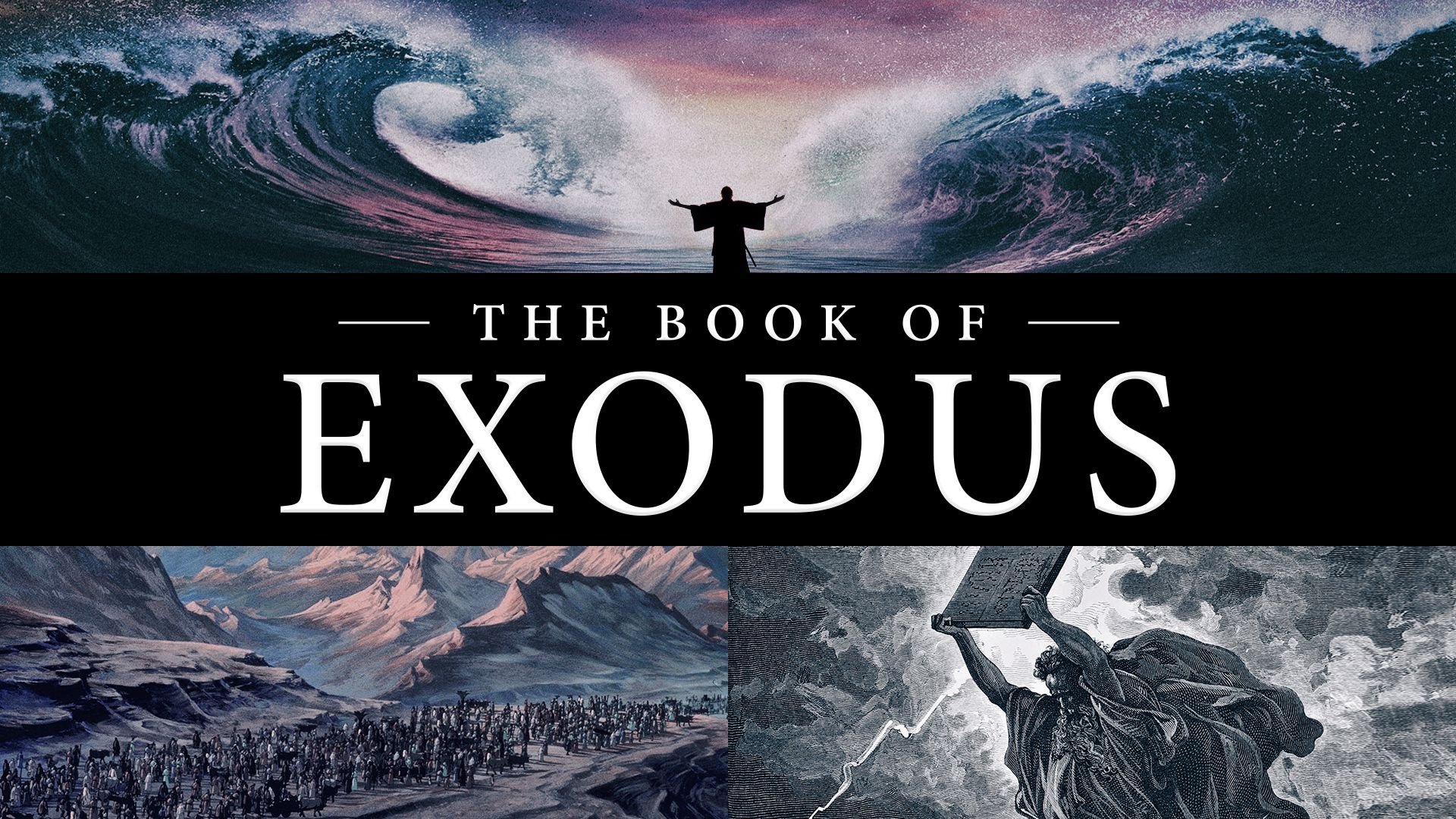 Exodus Author Leon Crossword Clue Exodus Author Leon Crossword Clue