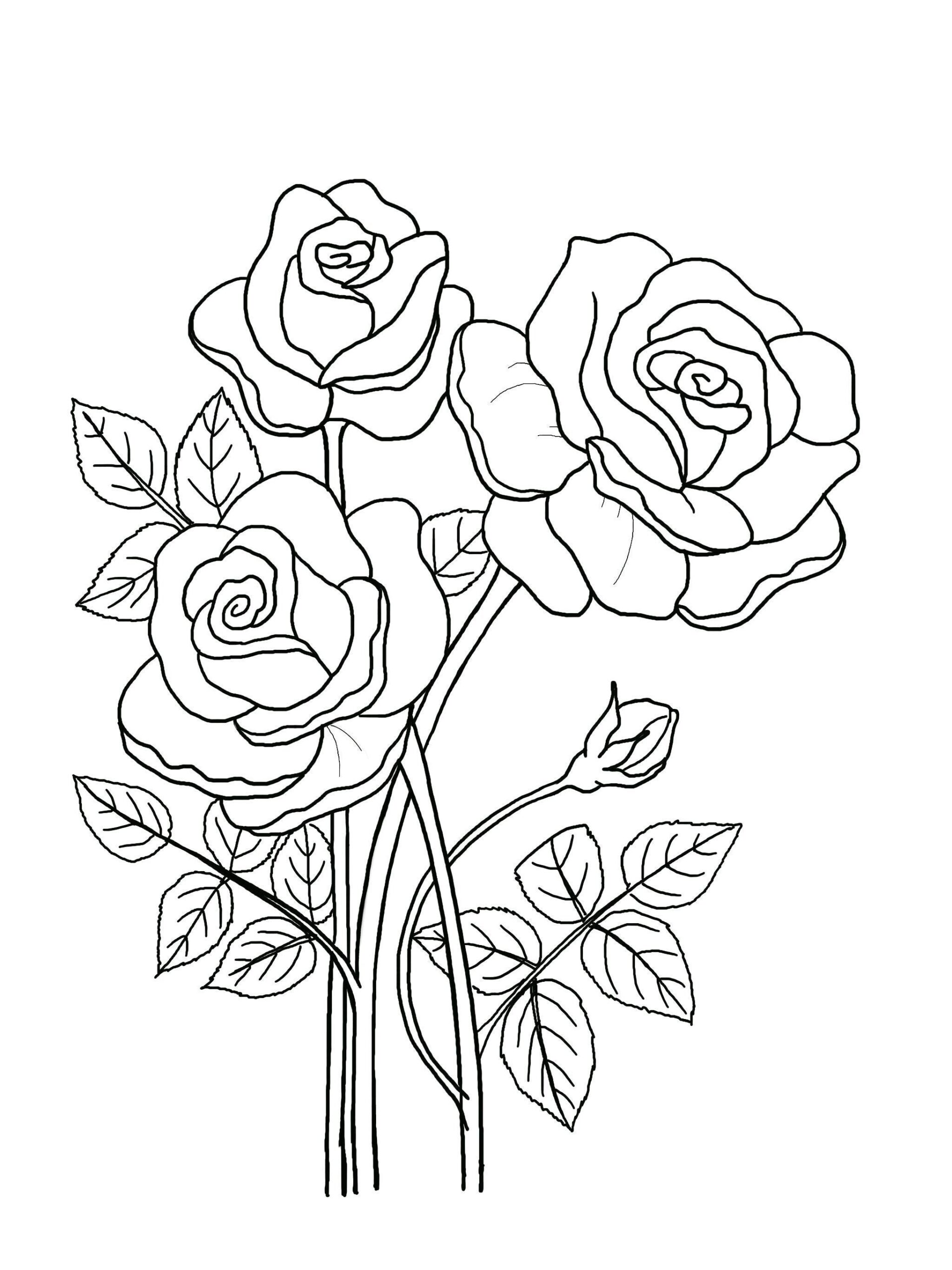 Floral Coloring Pages Hand drawn Flowers 5 page Book PDF JPG Etsy Israel Floral Coloring Pages Hand drawn Flowers 5 page Book PDF JPG Etsy Israel