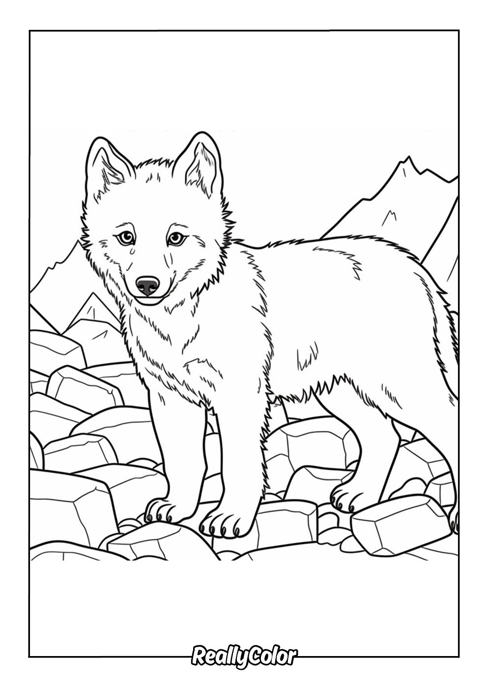 Free Printable Arctic Fox Coloring Pages Free Printable Arctic Fox Coloring Pages