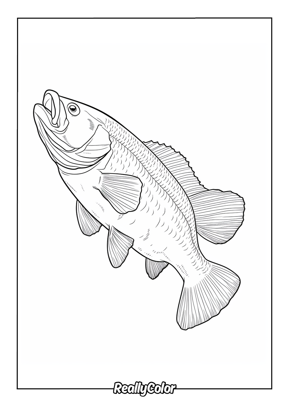 Free Printable Bass Fish Coloring Pages Free Printable Bass Fish Coloring Pages