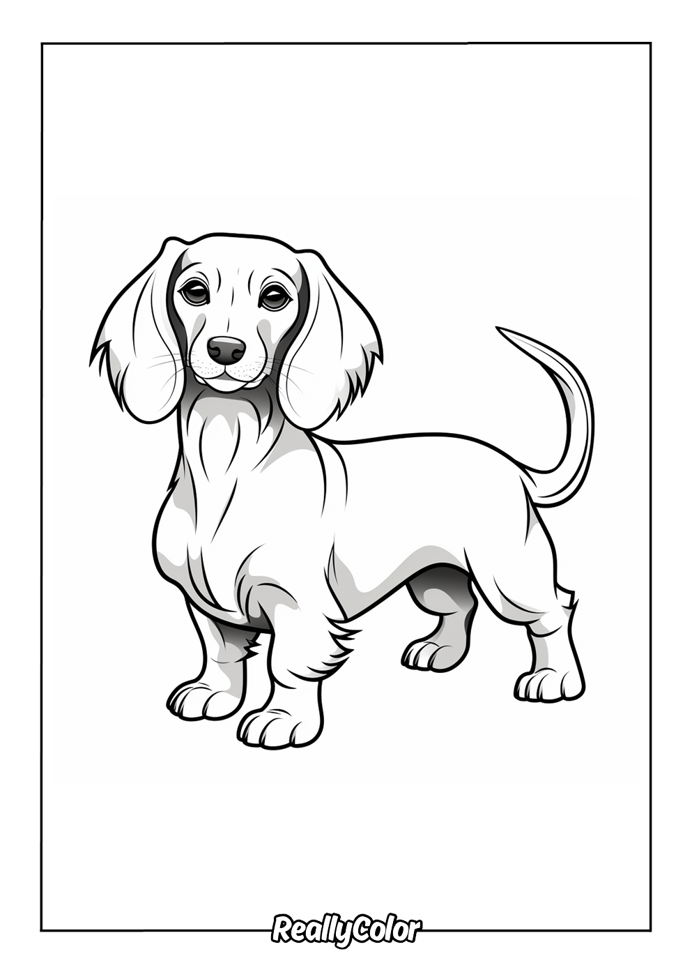 free dog color pages