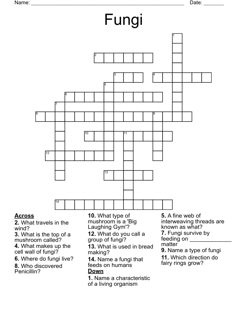 Fungi Crossword WordMint