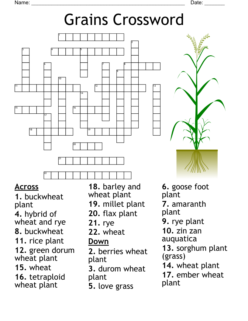 Grains Crossword WordMint Grains Crossword WordMint