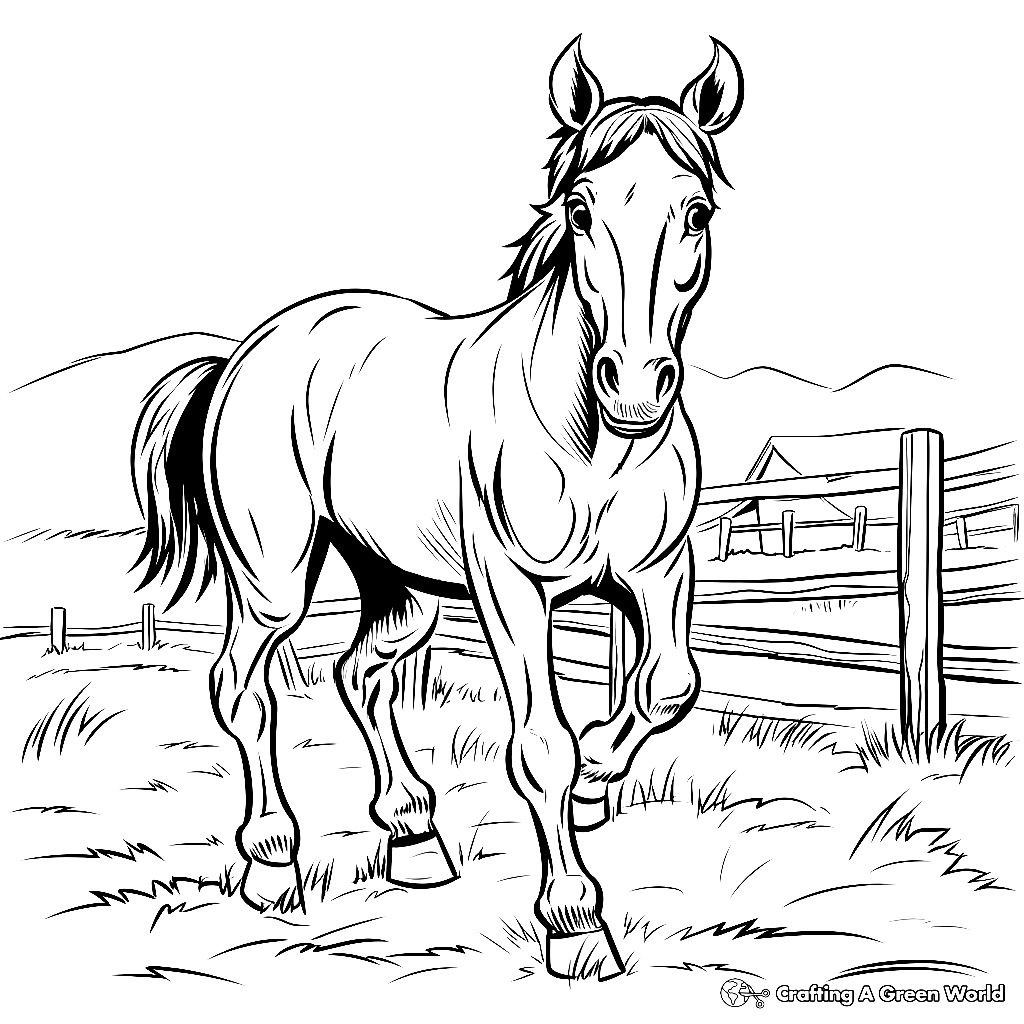 printable coloring pages of horses printable coloring pages of horses