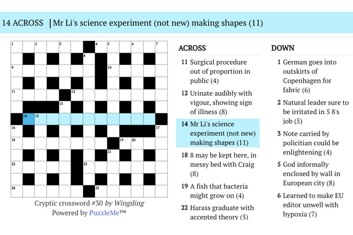 expert crossword puzzle clue