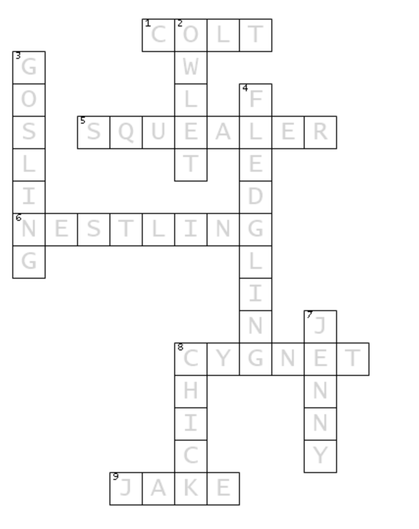 Kid s Corner Baby Bird Crossword Puzzle Bird Town Pennsylvania