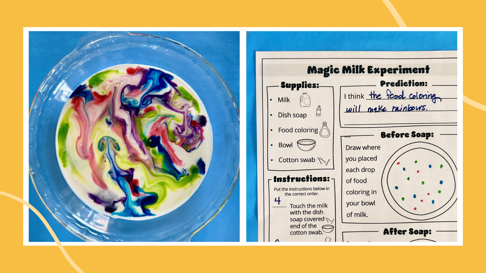 Magic Milk Experiment How To Plus Free Worksheet We Are Teachers