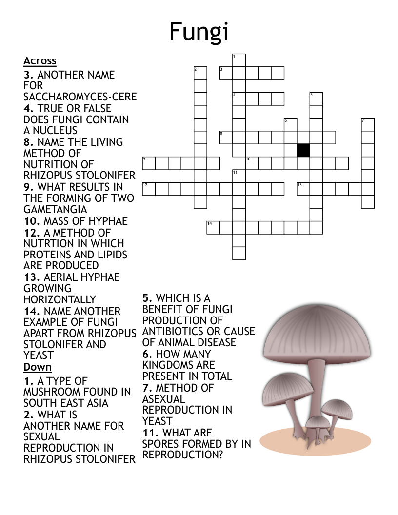 Mushroom Medley Test Your Knowledge Crossword WordMint