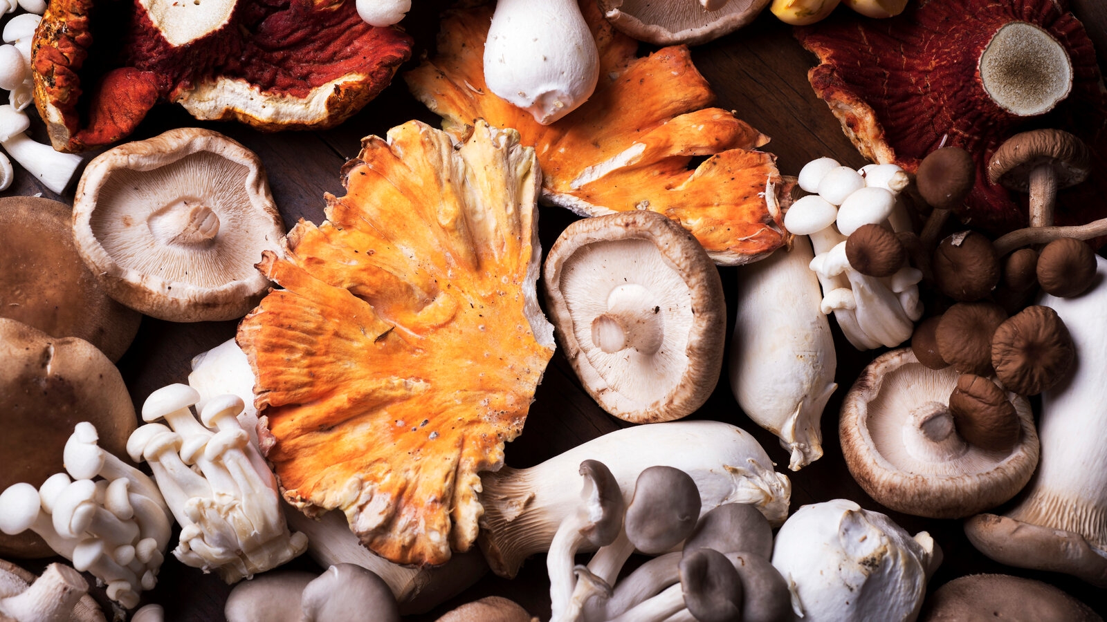 NYT Crossword Answers For June 11 2024 The New York Times