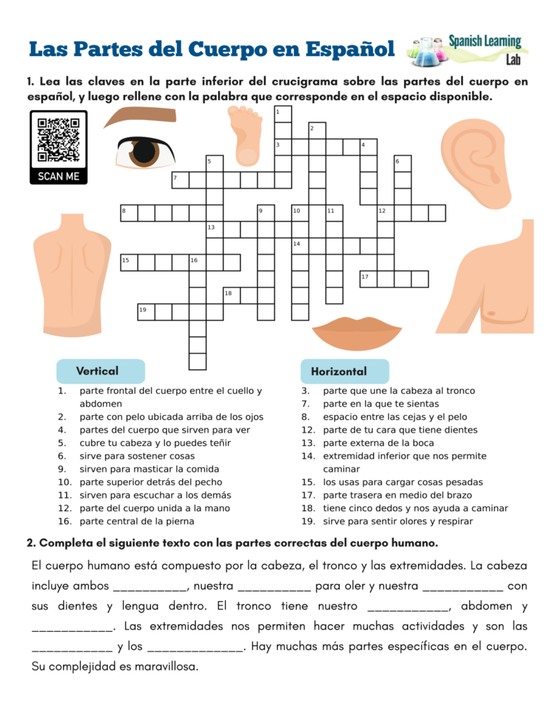 Parts Of The Body In Spanish PDF Crossword Puzzle Spanish Learning Lab