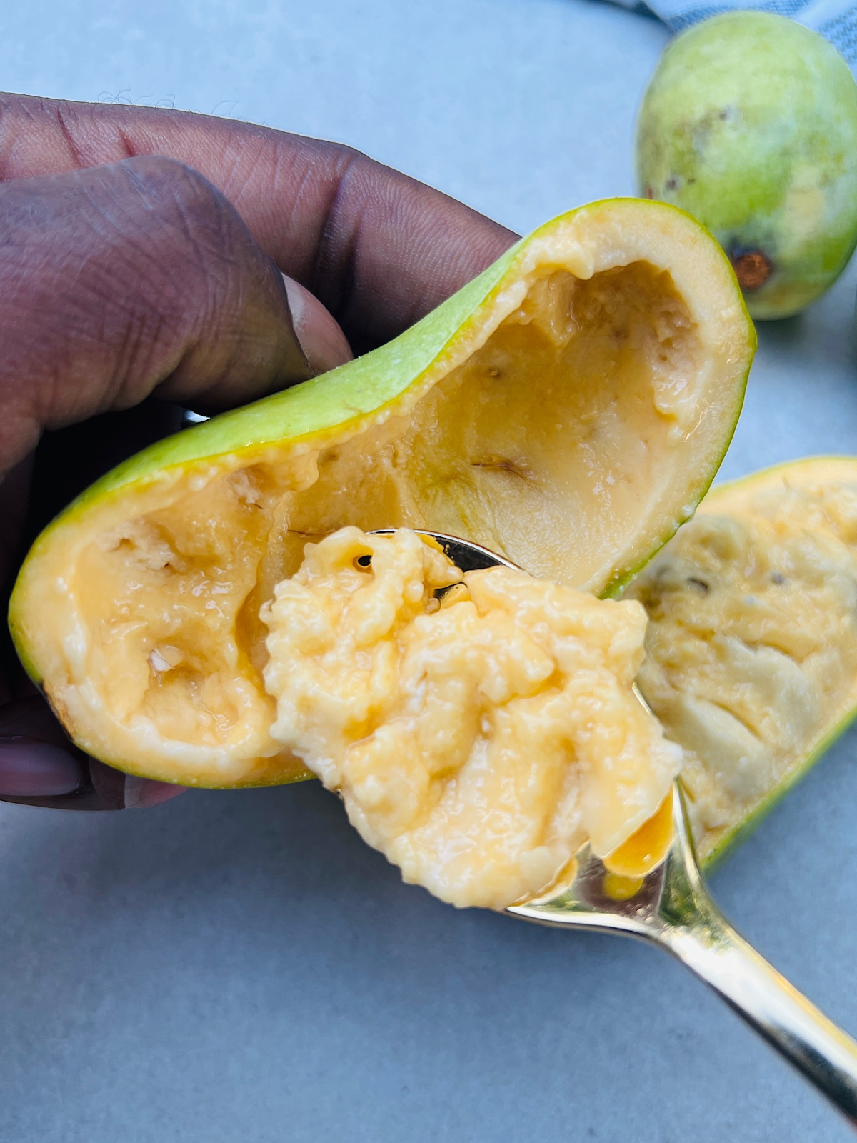 Pawpaw Fruit The VGN Way