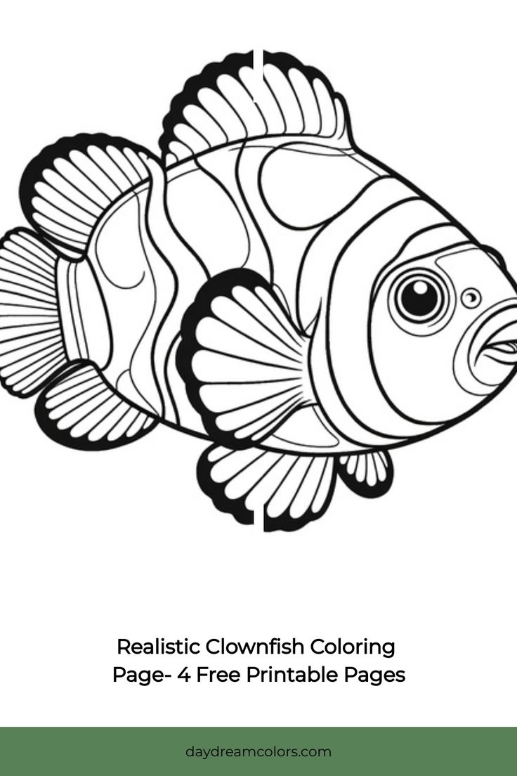 fish coloring pages realistic