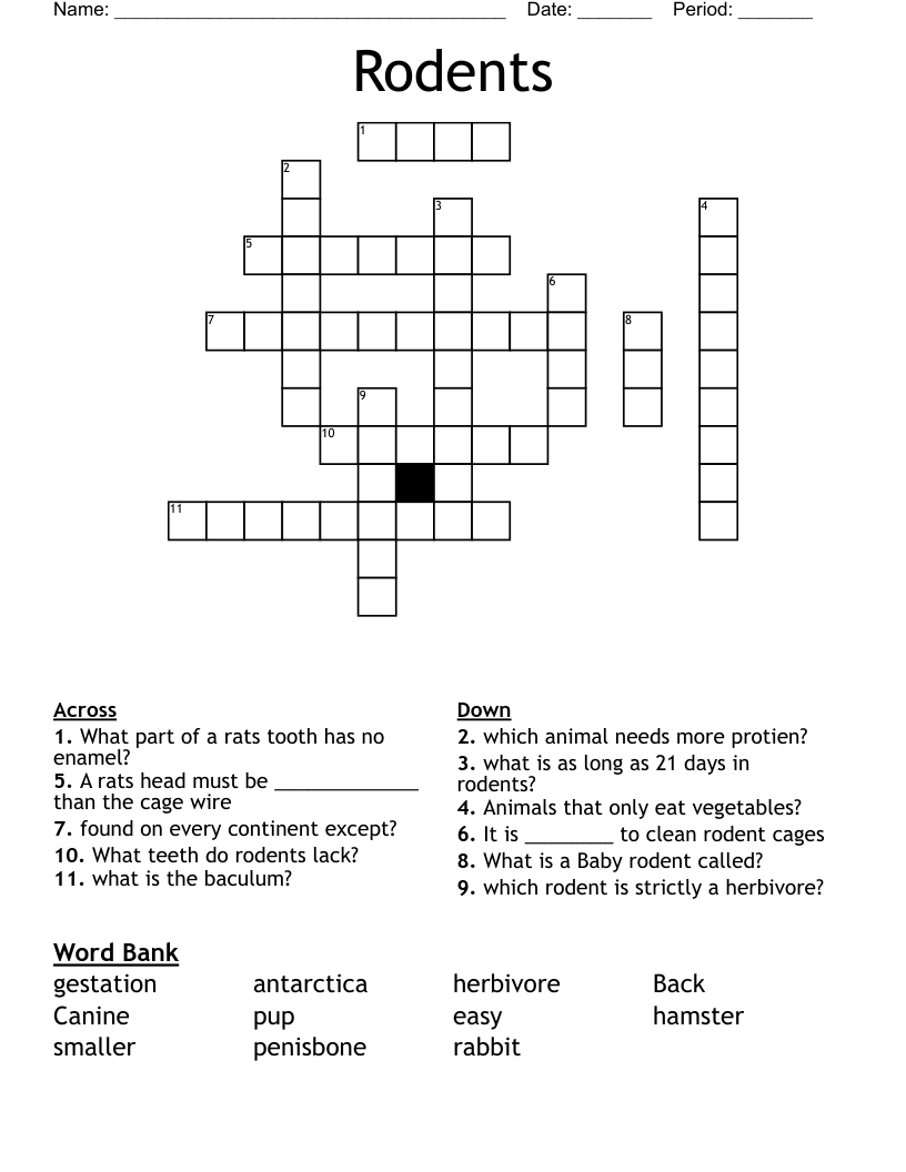 Rodents Crossword WordMint Rodents Crossword WordMint