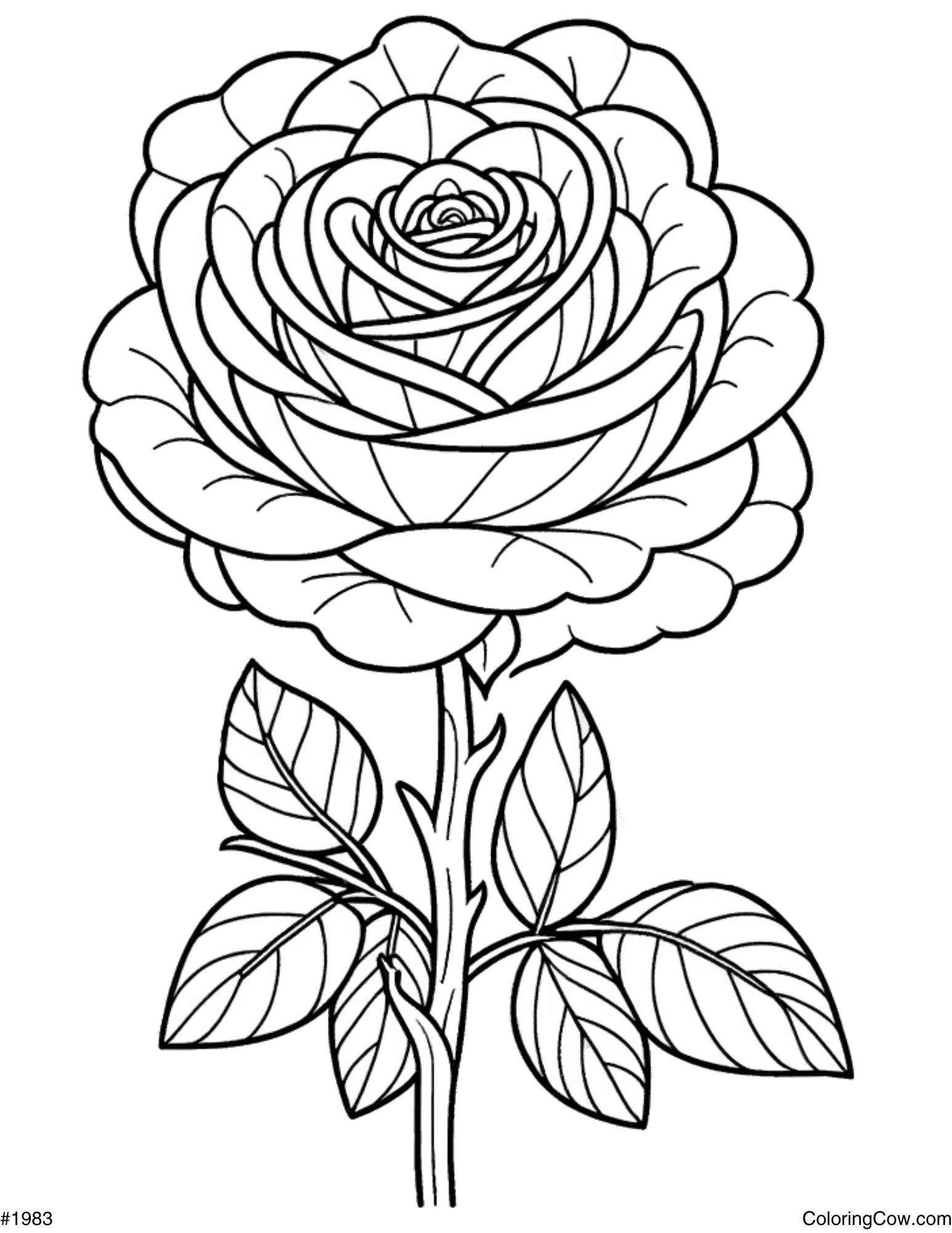 Rose Coloring Page Rose Coloring Page