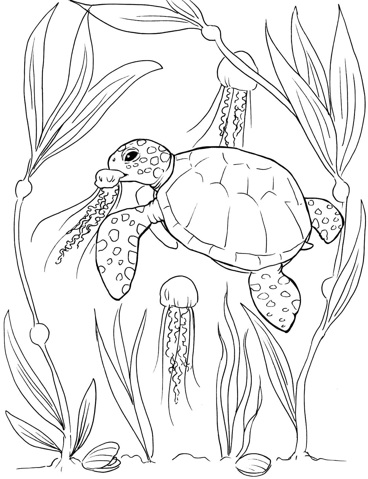 Sea Turtle Coloring Pages Etsy Hong Kong Sea Turtle Coloring Pages Etsy Hong Kong