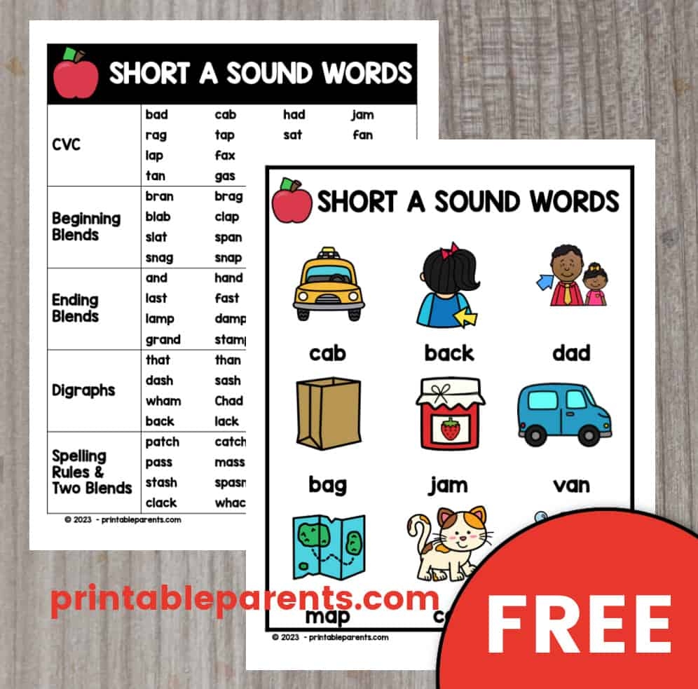 worksheet short a sound worksheet short a sound