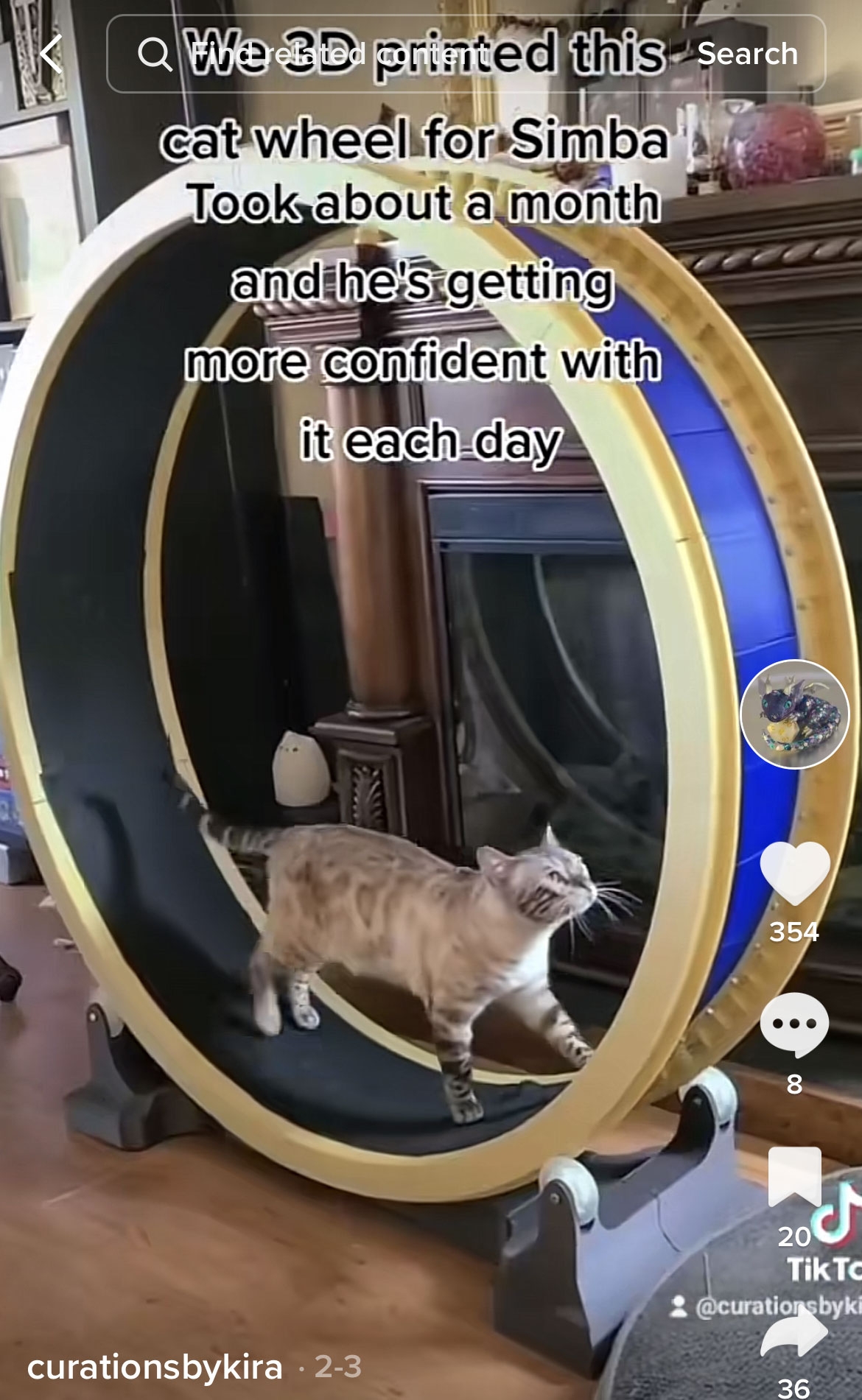 Sia Josephine My 3D Printed Cat Wheel Sia Josephine My 3D Printed Cat Wheel