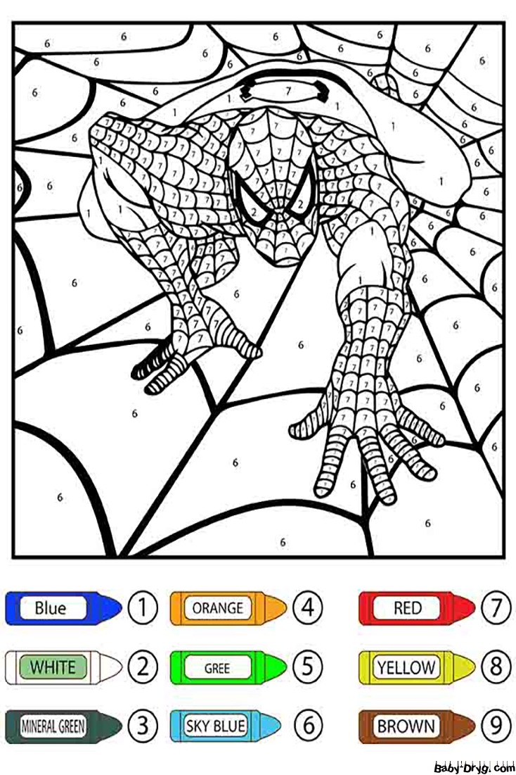 Spider Man Crawling On Web Color By Number Color By Number Coloring Pages