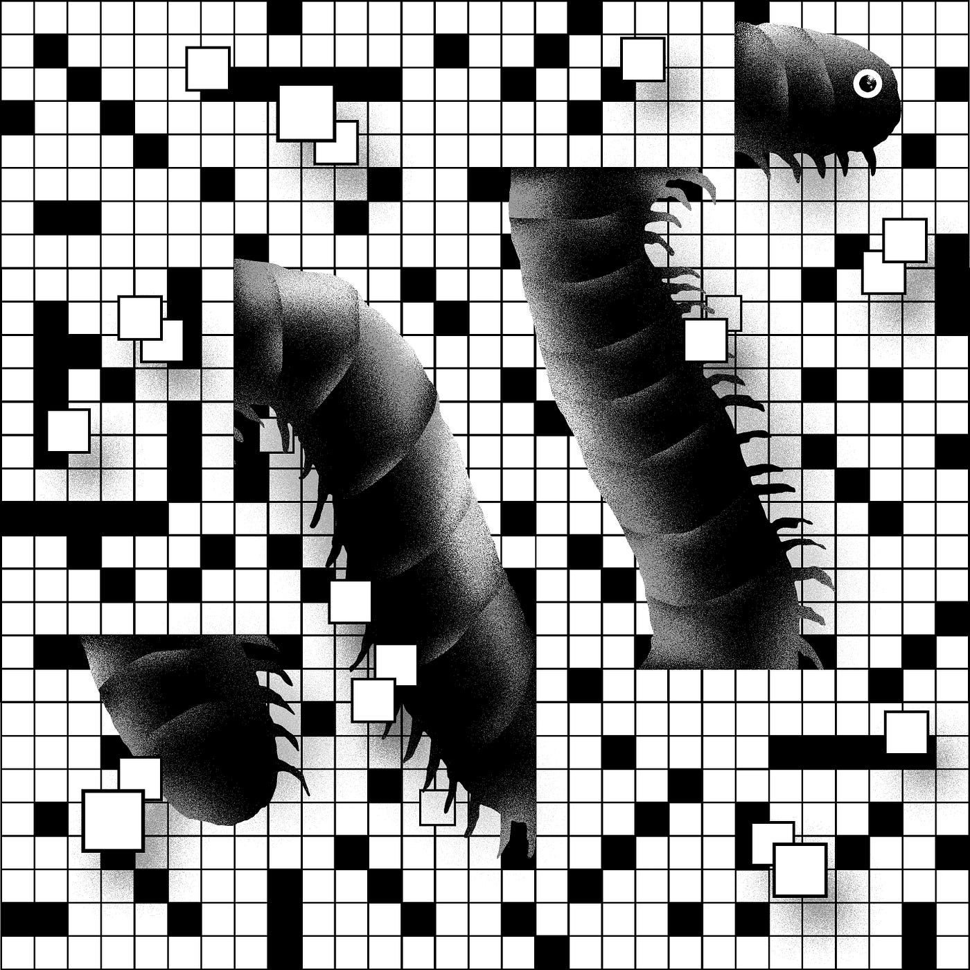 The Case Of The Mysterious Disappearing Bug By Goran Svorcan NYT Open