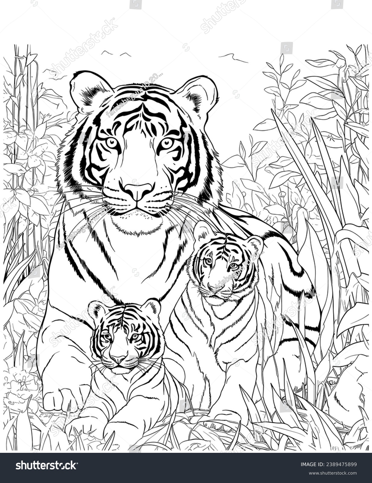 coloring page of a tiger coloring page of a tiger
