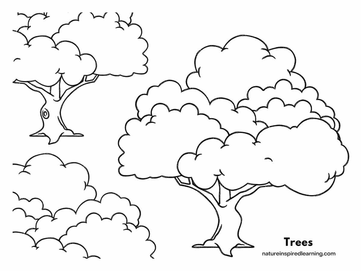 trees coloring pages printable